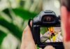 Key Digital Photography Tools That Will Elevate Your Photography Game Photography