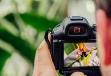 Key Digital Photography Tools That Will Elevate Your Photography Game Photography