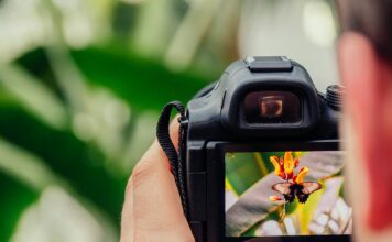 Key Digital Photography Tools That Will Elevate Your Photography Game Photography