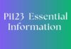What Is Pi123?: Essential Information For 2025 Pi123
