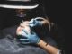 Powder Brows In North Carolina: Your Complete Guide To Perfect Eyebrows Powder Brows