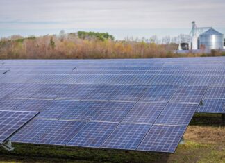 Powering Progress: The Eco-Friendly Homeowner’s Manual Eco-Friendly