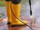 Pressure Cleaning Services for Outdoor Living Spaces: What’s Included? Pressure Cleaning Services