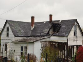 How Environmental Services Prevent Long-Term Property Damage Property Damage
