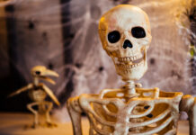 Real Skeletons Were Used As – Tymoff In The 1982 Film Poltergeist Real Skeletons