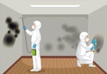 Things Mould Removal Experts Know About Hidden Spores Removal Experts