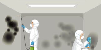 Things Mould Removal Experts Know About Hidden Spores Removal Experts