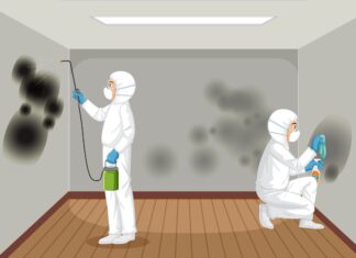 Things Mould Removal Experts Know About Hidden Spores Removal Experts