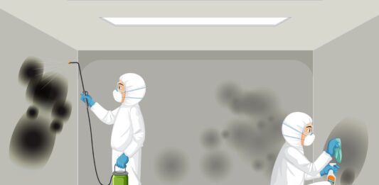 Things Mould Removal Experts Know About Hidden Spores Removal Experts