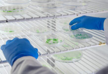 Top Research Projects That Benefit Most From FFPE Tissue Samples Research Projects