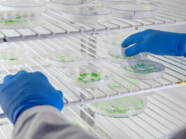 Top Research Projects That Benefit Most From FFPE Tissue Samples Research Projects