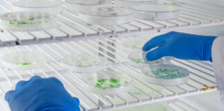 Top Research Projects That Benefit Most From FFPE Tissue Samples Research Projects