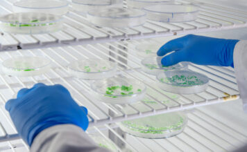 Top Research Projects That Benefit Most From FFPE Tissue Samples Research Projects