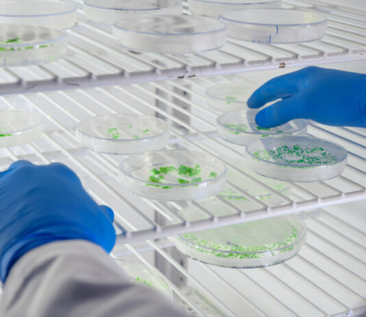 Top Research Projects That Benefit Most From FFPE Tissue Samples Research Projects