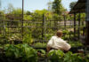 How Green Spaces Shape Comfort in New Residential Communities Residential Communities