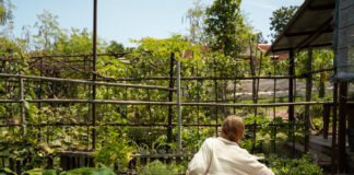 How Green Spaces Shape Comfort in New Residential Communities Residential Communities