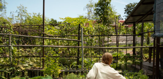 How Green Spaces Shape Comfort in New Residential Communities Residential Communities