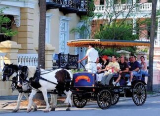 WonderDays: A Timeless Adventure with Horse and Carriage Rides Carriage Rides