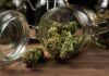 Elevate Your High: Why Quality Weed Dispensaries Make a Difference