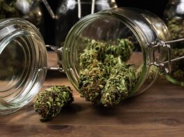 Elevate Your High: Why Quality Weed Dispensaries Make a Difference