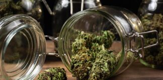 Elevate Your High: Why Quality Weed Dispensaries Make a Difference