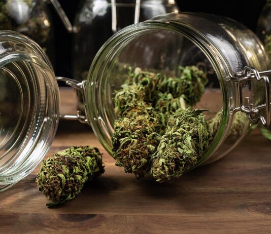 Elevate Your High: Why Quality Weed Dispensaries Make a Difference