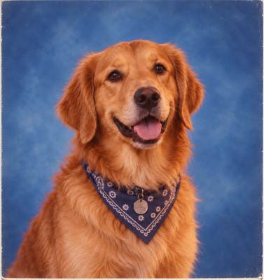School photo parody