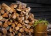 Why Seasoned Firewood Reigns Supreme Over Freshly Cut Wood Seasoned Firewood Sales