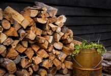 Why Seasoned Firewood Reigns Supreme Over Freshly Cut Wood Seasoned Firewood Sales