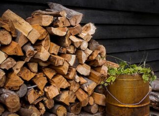 Why Seasoned Firewood Reigns Supreme Over Freshly Cut Wood Seasoned Firewood Sales