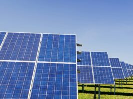 How Much Does It Cost Your Business to Get Solar Panels? Solar Panels