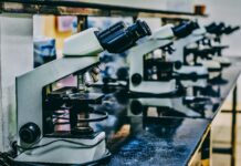Laboratory Success: Resources for Opening a Successful Research Lab Successful Research Lab