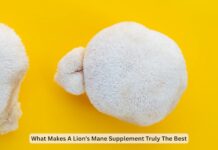What Makes A Lion’s Mane Supplement Truly The Best Supplement Truly