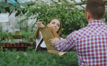 Office Fit-Out Trends That Reflect a More Sustainable Business Mindset Office Fit-Out Trends That Reflect a More Sustainable Business Mindset