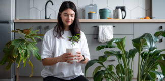 Practical Tips for Sustainable Living in Everyday Life Sustainable Living