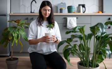Practical Tips for Sustainable Living in Everyday Life Sustainable Living