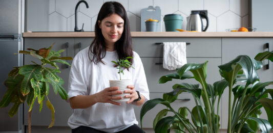 Practical Tips for Sustainable Living in Everyday Life Sustainable Living