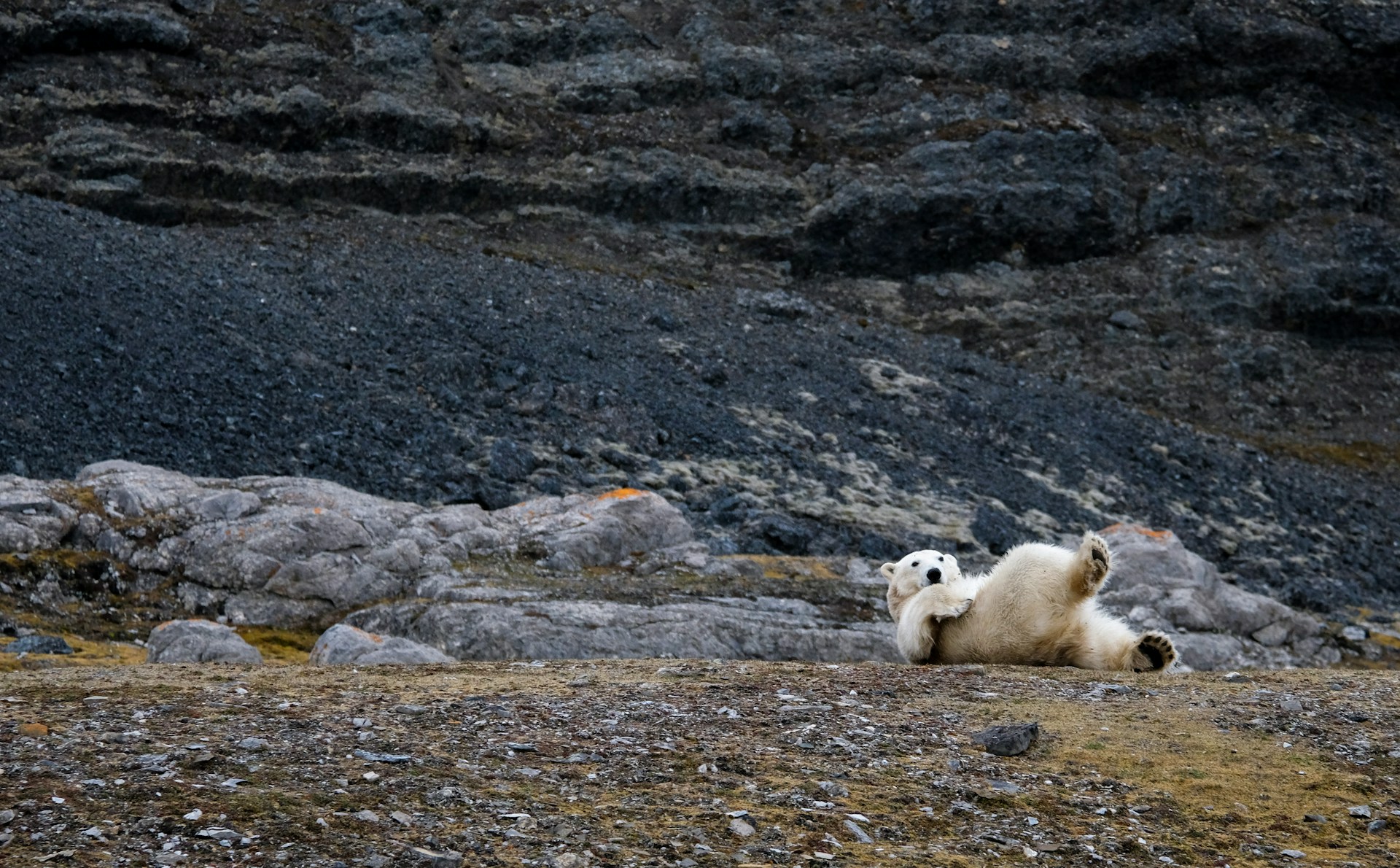 Svalbard