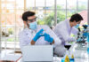 How to Streamline Results Management and Testing in Your Lab Testing Lab