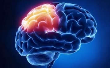 The Brain Injury