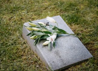 Detailed Story: The Flower Of Veneration Chapter 1 The Flower of Veneration