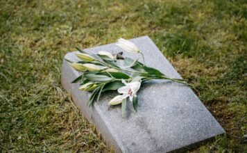 Detailed Story: The Flower Of Veneration Chapter 1 The Flower of Veneration