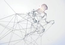 The Influence of Human Design Types in Career Choices and Success