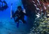 Things To Know When Scuba Diving In Kauai
