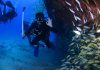 Things To Know When Scuba Diving In Kauai Things To Know When Scuba Diving In Kauai