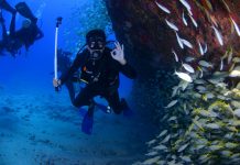 Things To Know When Scuba Diving In Kauai Things To Know When Scuba Diving In Kauai