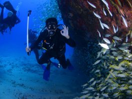 Things To Know When Scuba Diving In Kauai