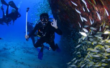 Things To Know When Scuba Diving In Kauai Things To Know When Scuba Diving In Kauai