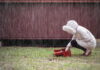 7 Signs Your Tile Roof Needs Attention Before Rainy Season Tile Roof