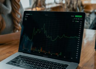 Tips for Building a Successful Relationship With Your Investment Firm Investment Firm